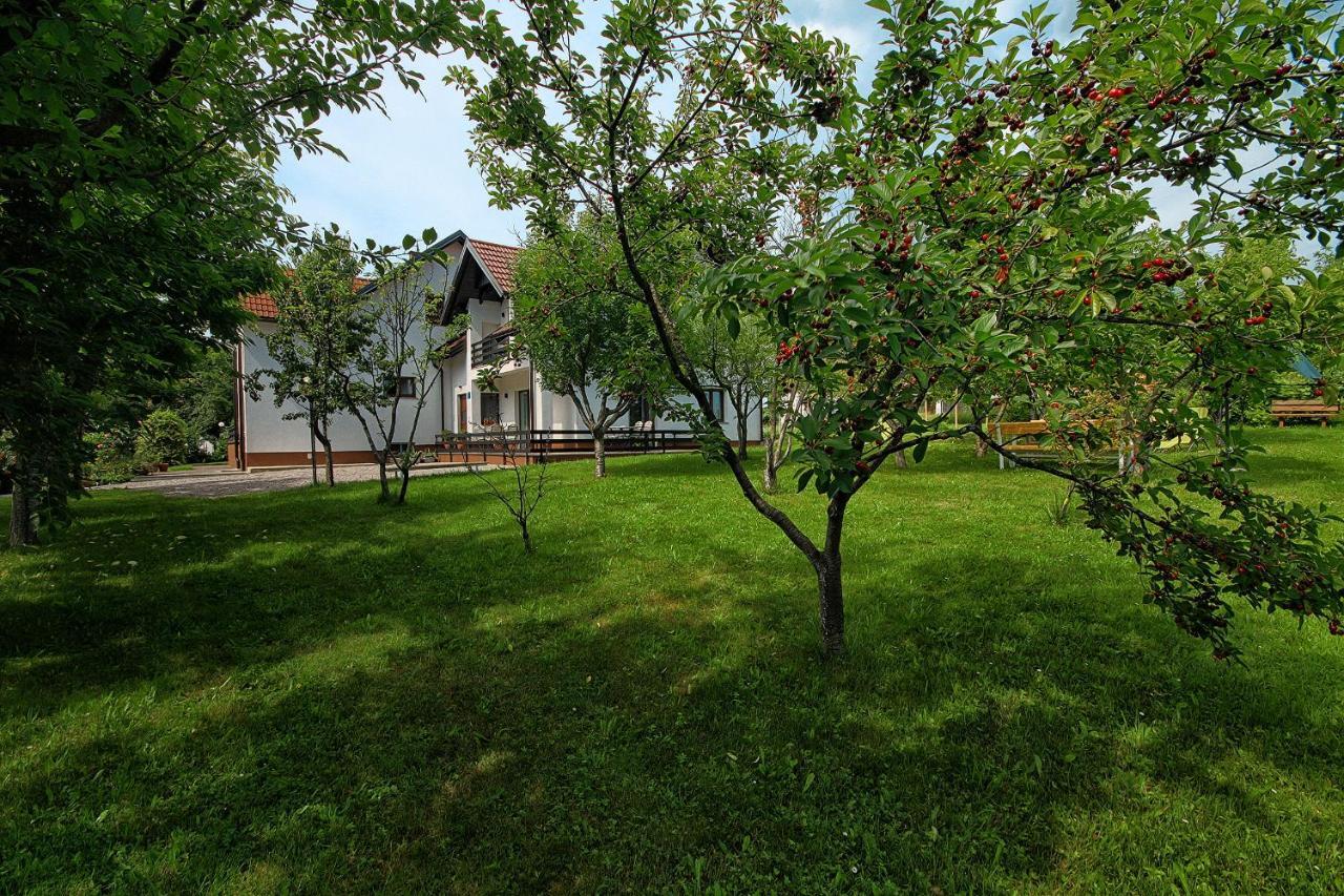 Lagom Apartments Drežnik Grad Exterior foto